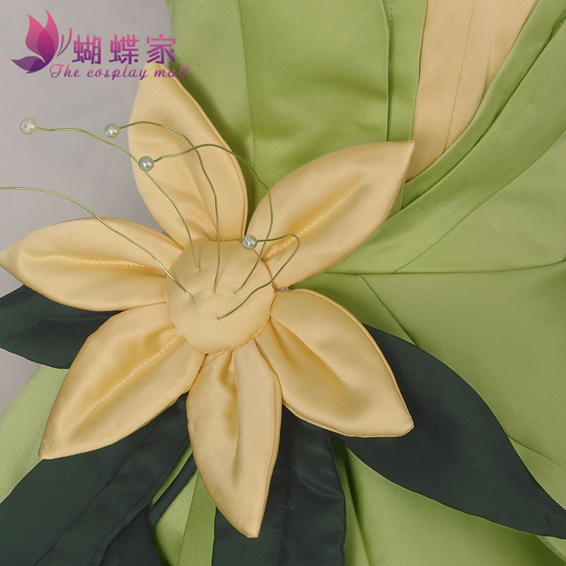 Princess Tiana Dress Cosplay C - Women Accessories Wholesale 评论和价格